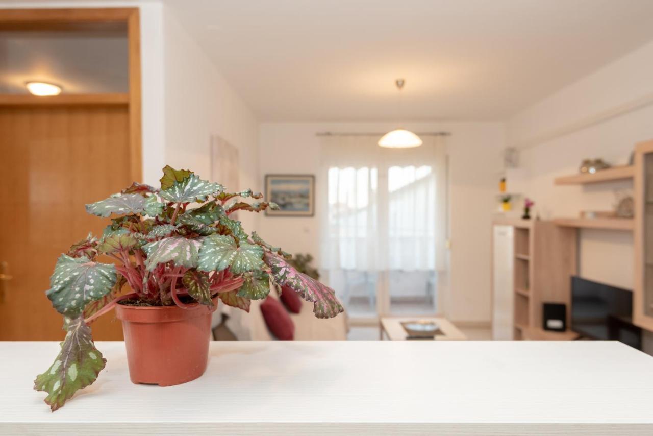 Apartman Valter Zara Esterno foto